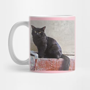 CAT LOVER AND LOVER ART Mug